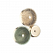 Бра ODEON LIGHT 5412/14WL