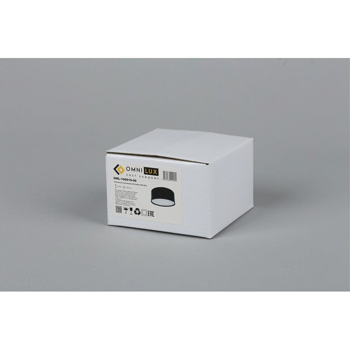 Светильник Omnilux OML-100919-06